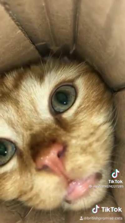 POV: your the Pringle at the bottom of the container