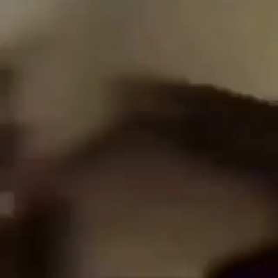 💀💀💀