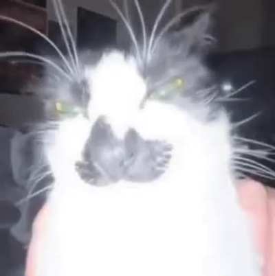 hallow een icon contest for subreddit icon (read description)