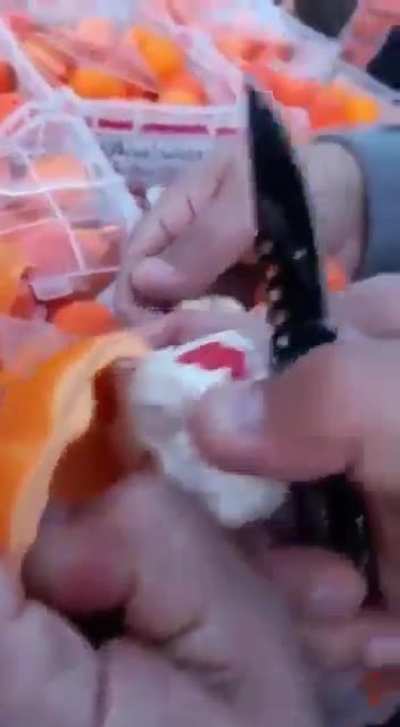 A massive Captagon shipment hidden inside oranges, shipped from Lebanon