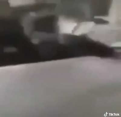 Um baratão