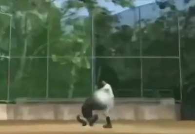 baseball