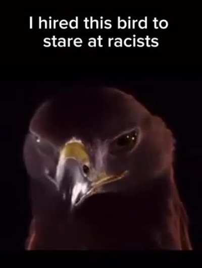 For all you funny fuckers 