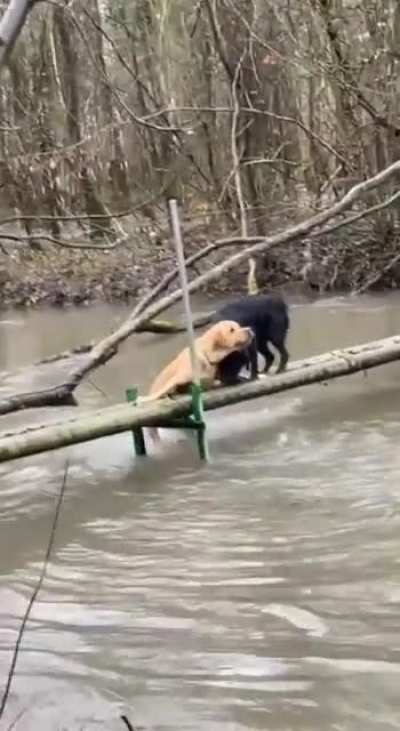Best buds