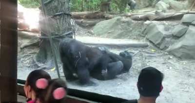 Monke
