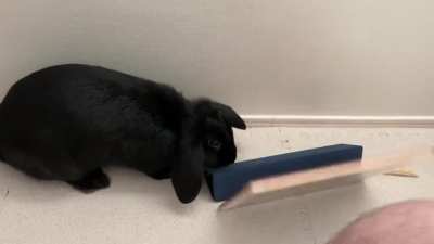 Less TV, more head rubs