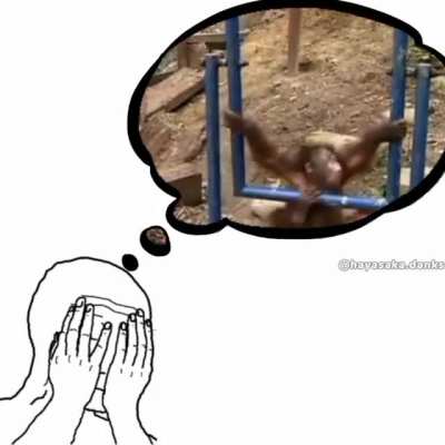 Pobre monito 😔
