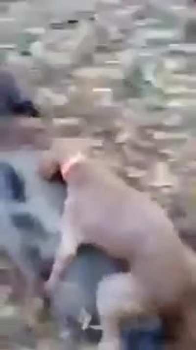 He helped catch it, now he wants his share.