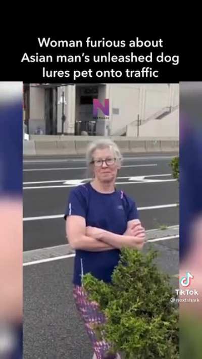 Karen tries to lure dog into traffic