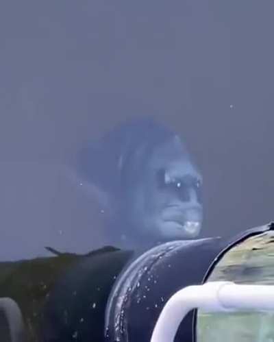I thought it's a reflection