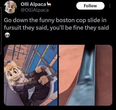 furry_irl