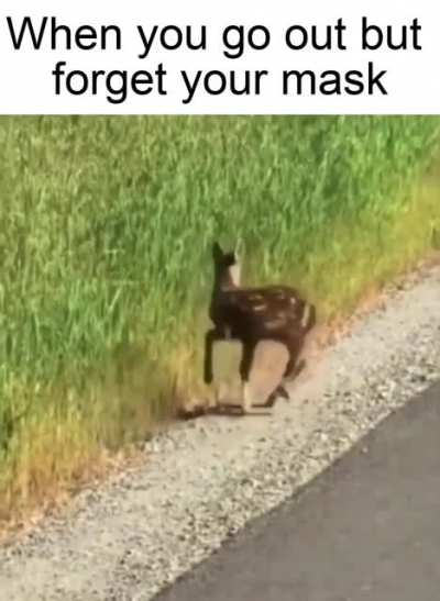 Me_irl