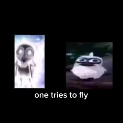 two birds on a wire rule