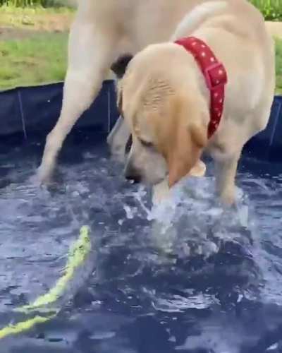 D: