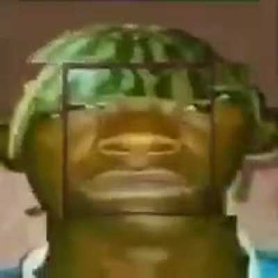 upvote = hampter