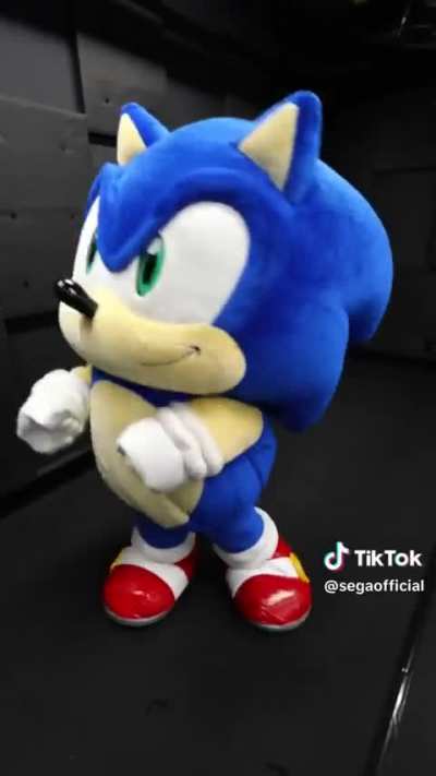 que isso sonic😰😰