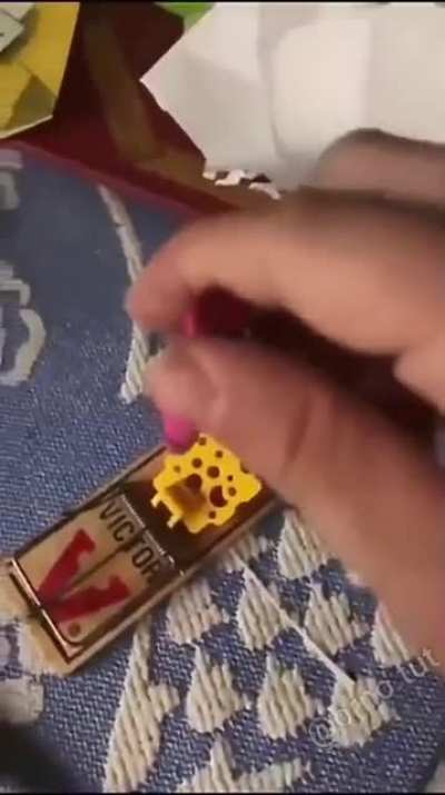 Accidentally setting off a mouse trap