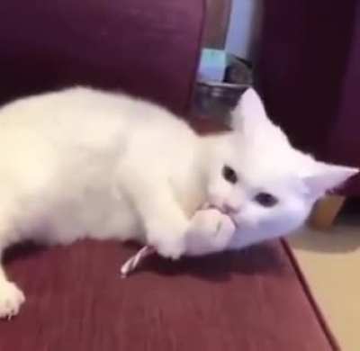 Accidentaly tasting peppermint