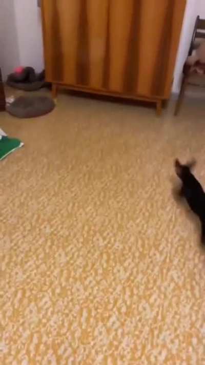 I MUST GO!