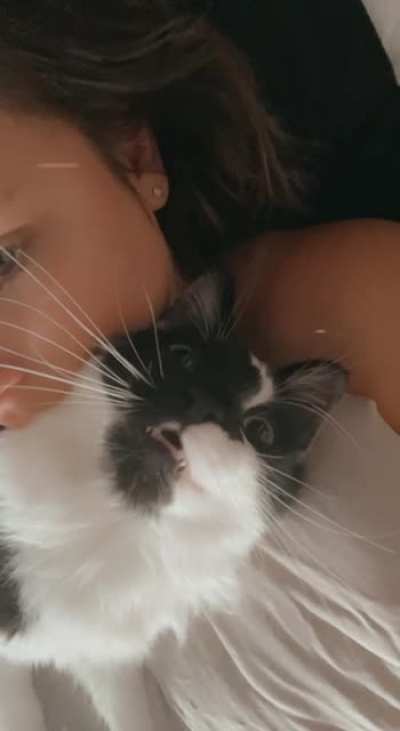 🥺