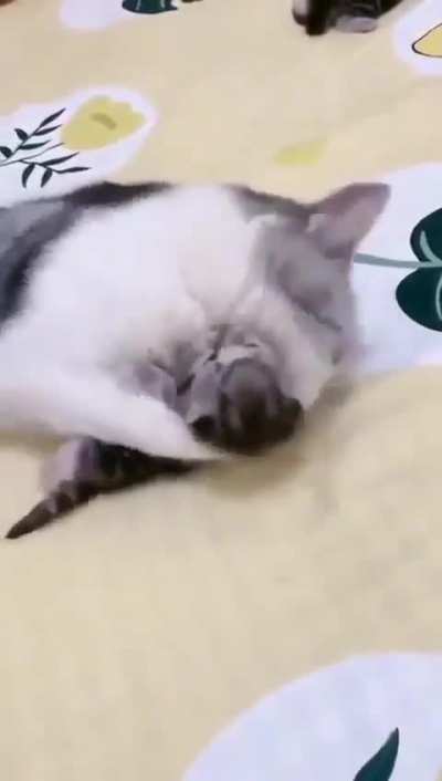 awww......