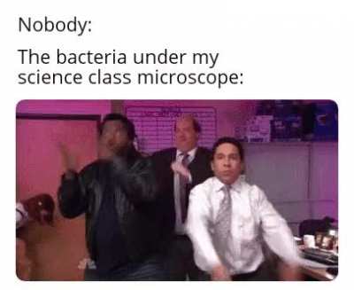 They do be Vibing