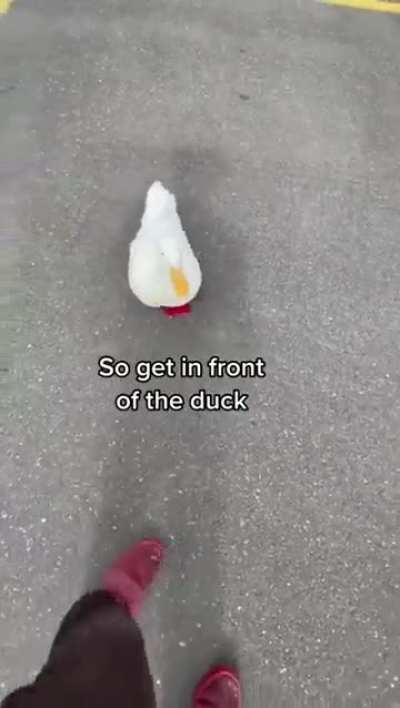 tutorial