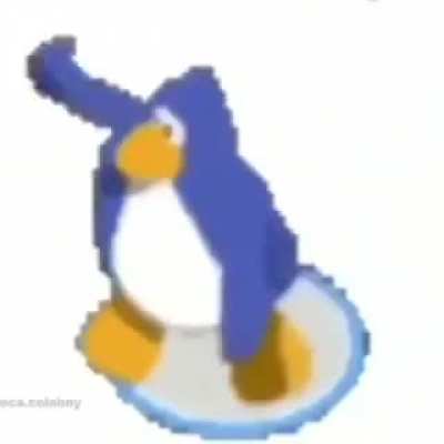 Pingüino en 144p bailando 4k 🐧 📹