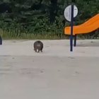 This unit charging