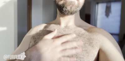 Arab hairy chest