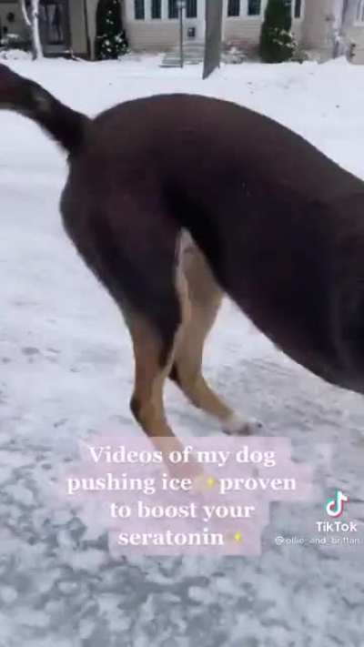 Pushin ice