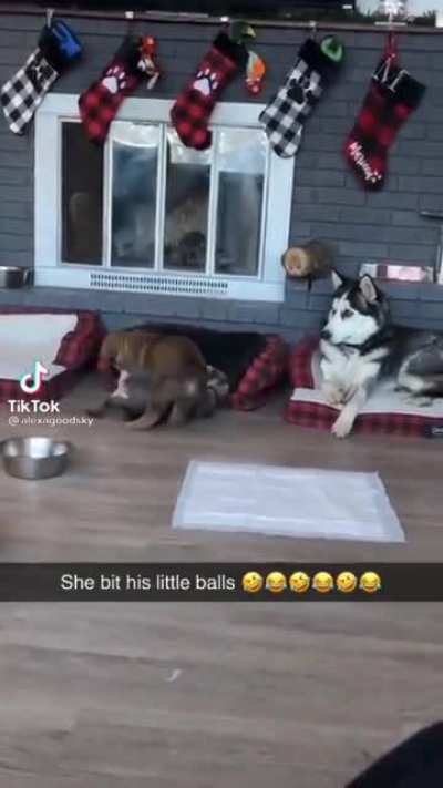 Poor little guy