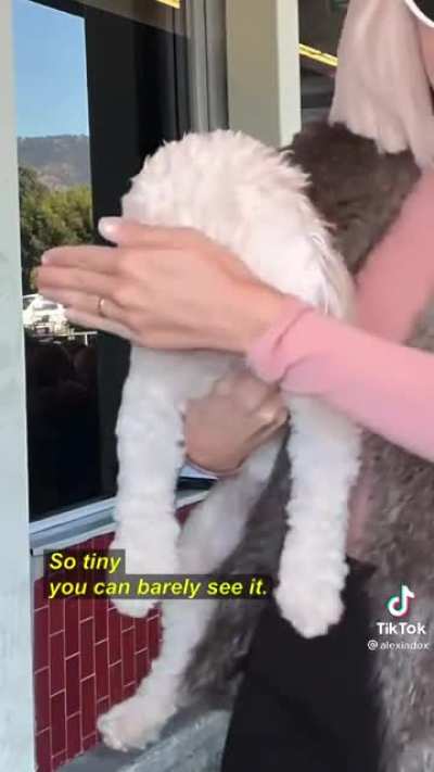 Videos that make you 😐