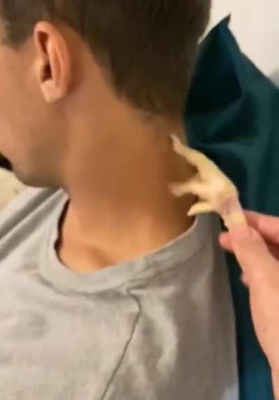 Chicken foot