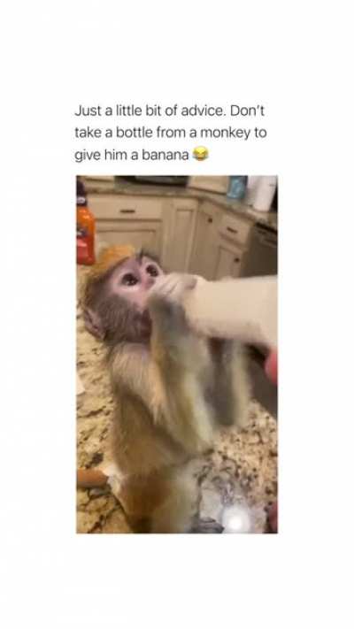 He's screm
