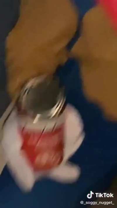 Sonic enjoying his rings