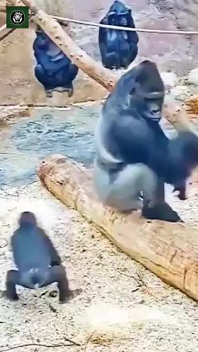 Hmmm