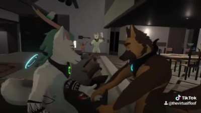 watchdog_irl