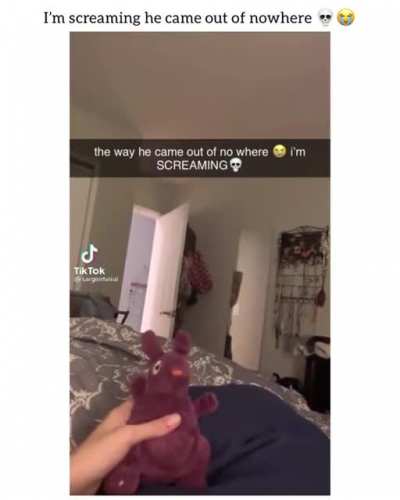 W H E E Z E