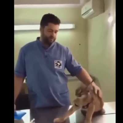 El Caracal Dank