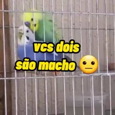 brotheragens