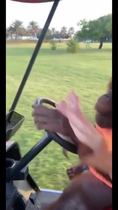 muca aprendendo a andar de carro😍😍