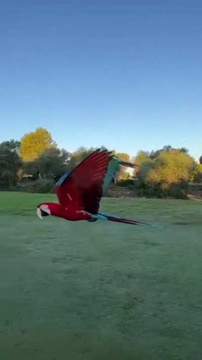 Recorded In Majorca, Spain