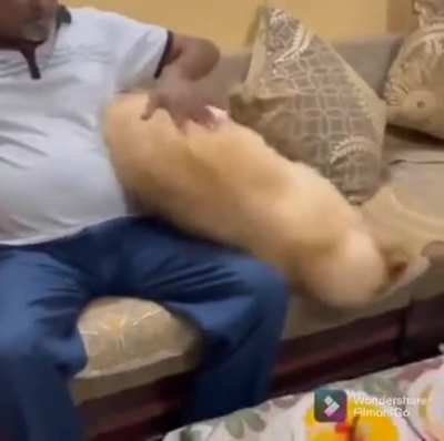 Главное манёв<wbr>ры.