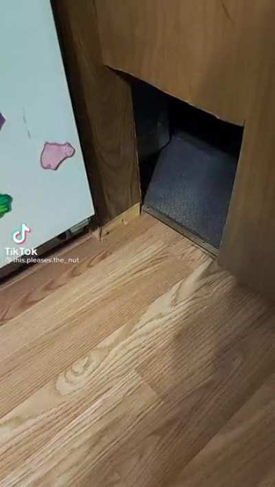 No cats were harmed in the making of this video.