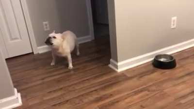 No More Breakfast