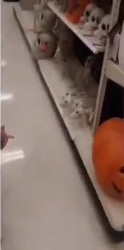Can I pet that dog