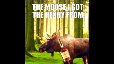 the moose i got the henny from