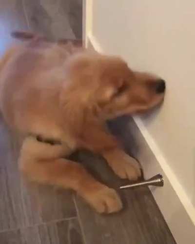 What the heck is this thing?!