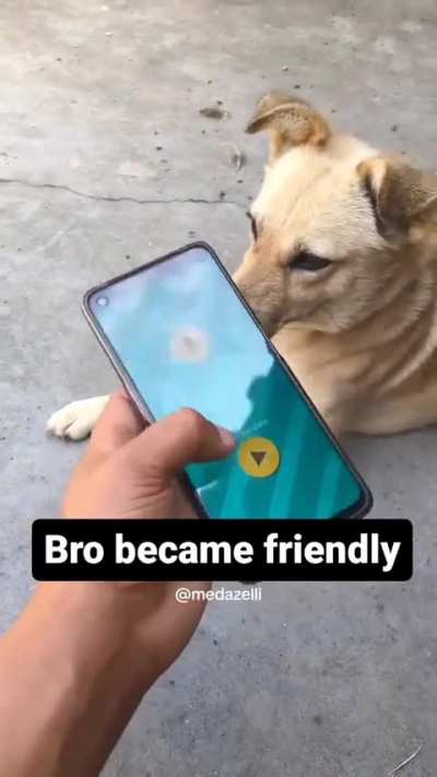 WHAT